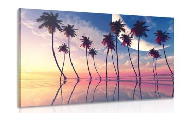 Obraz zachód słońca nad tropikalnymi palmami - 120x80