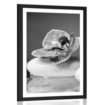 Plakat z passe-partout orchidea i Zen kamienie w czerni i bieli - 40x60 black