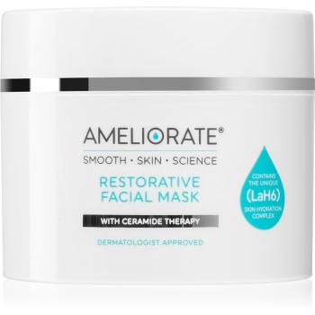 Ameliorate Restorative Facial Mask maseczka na noc rozjaśniająca o działaniu nawilżającym 75 ml