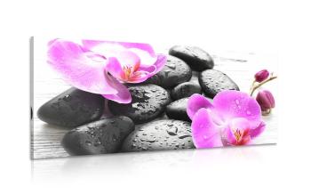 Obraz magiczna gra kamieni i orchidei - 100x50