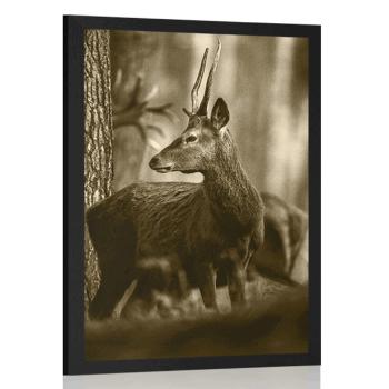 Plakat jeleń w sosnowym lesie w sepiowym kolorze - 40x60 silver