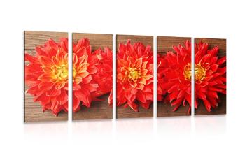 5-częściowy obraz kwiaty czerwonej dalii - 200x100