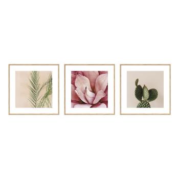 Obrazy zestaw 3 szt. 22,5x22,5 cm Flowers