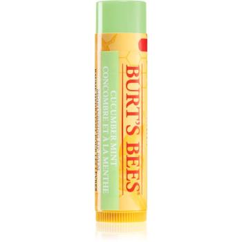 Burt’s Bees Lip Care balsam do ust (with Cucumber & Mint) 4.25 g