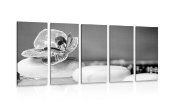 5-częściowy obraz orchidea i kamienie Zen w wersji czarno-białej - 200x100
