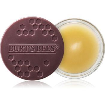 Burt’s Bees Lip Treatment intensywna kuracja na noc do ust 7.08 g