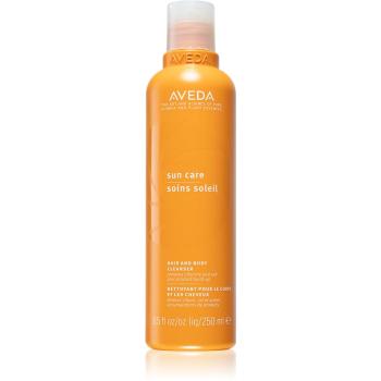 Aveda Sun Care Hair and Body Cleanser szampon i żel pod prysznic 2 w 1 do włosów osłabionych działaniem chloru, słońca i słonej wody 250 ml