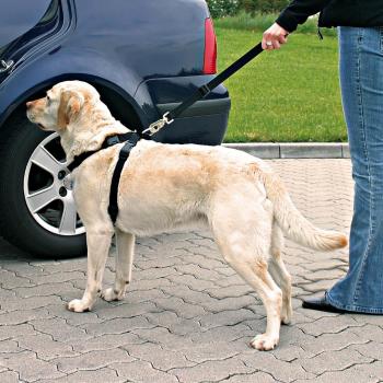 Pasy bezpieczeństwa dla psa z szelkami (trixie)  - S