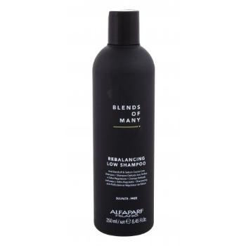 ALFAPARF MILANO Blends Of Many Rebalancing 250 ml szampon do włosów dla mężczyzn