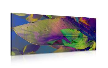 Obraz liści zalanych kolorami - 120x60
