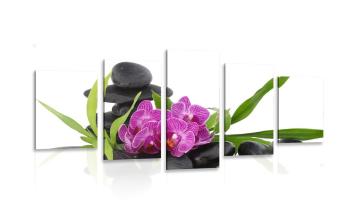 5-częściowy obraz fioletowa orchidea w Zen zaciszu