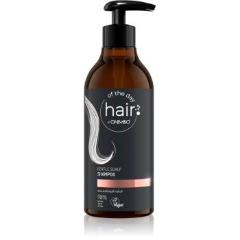 OnlyBio Hair Of The Day delikatny szampon do codziennego użytku z aloesem 400 ml