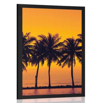 Plakat zachód słońca nad palmami