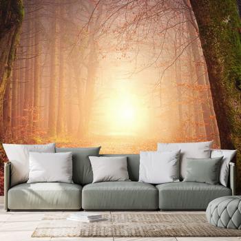 Samoprzylepna tapeta las w bajkowych kolorach - 225x150