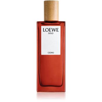 Loewe Solo Cedro woda toaletowa dla mężczyzn 50 ml