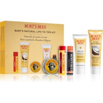 Burt’s Bees Lips To Tips zestaw upominkowy intensywnie nawilżający
