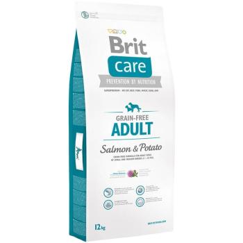 BRIT Care Grain-Free Adult salmon &amp; potato 1 kg