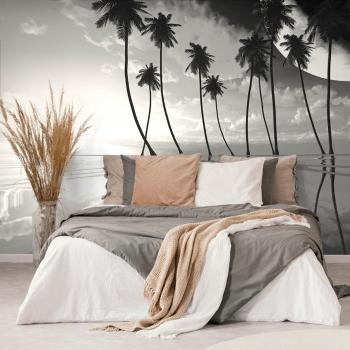 Samoprzylepna tapeta czarno-białe tropikalne palmy - 225x150
