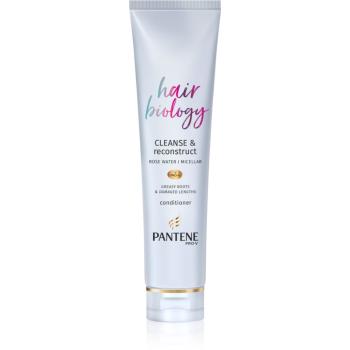 Pantene Hair Biology Cleanse & Reconstruct odżywka do włosów przetłuszczających 160 ml