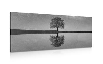 Obraz rozgwieżdżone niebo nad samotnym drzewem w wersji czarno-białej - 100x50