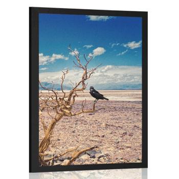 Plakat wrona na wysuszonym krajobrazie - 60x90 black
