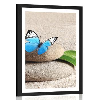 Plakat z passe-partout niebieski motyl na kamieniu Zen - 30x45 white