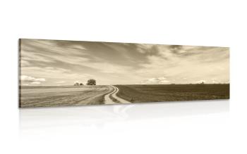 Obraz urokliwy krajobraz w sepii - 120x40