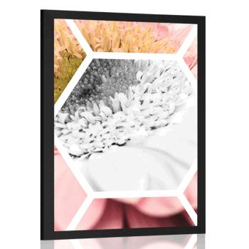 Plakat gerbera w sześciokącie - 40x60 white