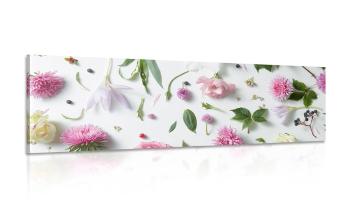 Obraz magiczna martwa natura z kwiatów - 150x50