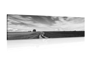 Obraz urokliwy krajobraz w wersji czarno-białej - 135x45
