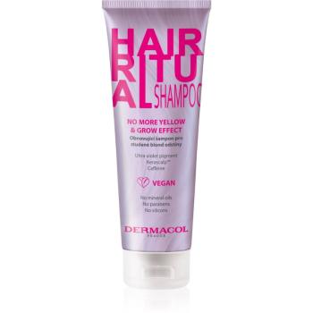 Dermacol Hair Ritual szampon odbudowujący włosy do zimnych odcieni blond 250 ml