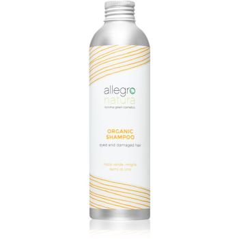 Allegro Natura Organic szampon rozjaśniający i tonizujący do włosów farbowanych 250 ml