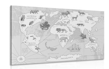 Obraz czarno-biała mapa świata ze zwierzętami