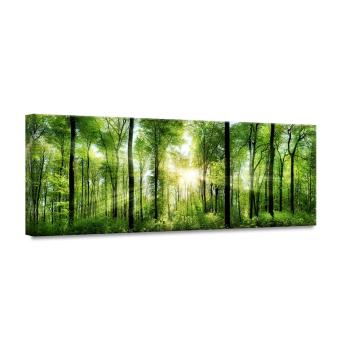 Obraz Styler Glasspik Nature Sunlight, 50x125 cm