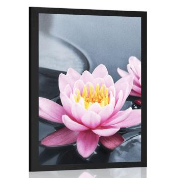 Plakat kwiat lotosu w jeziorze - 60x90 black