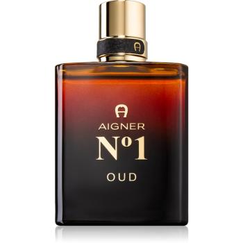 Etienne Aigner No. 1 Oud woda perfumowana dla mężczyzn 100 ml