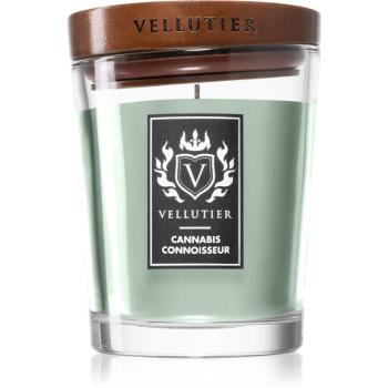 Vellutier Cannabis Connoisseur świeczka zapachowa 225 g