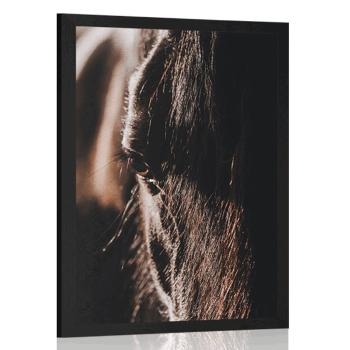Plakat majestatyczny koń - 60x90 black