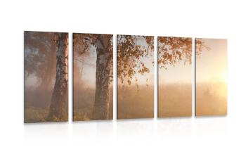 5-częściowy obraz mglisty jesienny las - 100x50