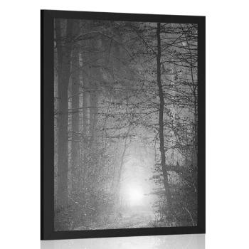 Plakat światło w lesie w czerni i bieli - 30x45 silver