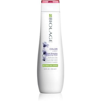 Biolage Essentials ColorLast szampon do włosów rozjaśnionych, z pasemkami w odcieniu chłodnego blondu 250 ml
