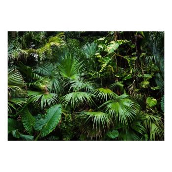 Tapeta wielkoformatowa Bimago Sunny Jungle, 400x280 cm