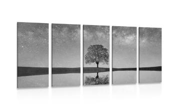 5-częściowy obraz gwiazdy nad samotnym drzewem w czarnobiałym kolorze - 200x100