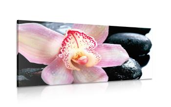 Obraz orchidea spa - 120x60
