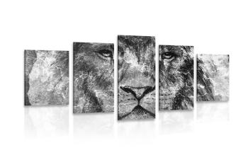 5-częściowy obraz głowa lwa w wersji czarno-białej - 100x50