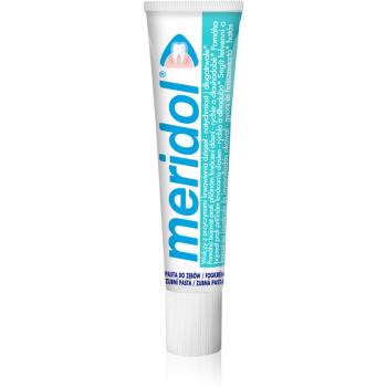 Meridol Dental Care Mini pasta do zębów mini