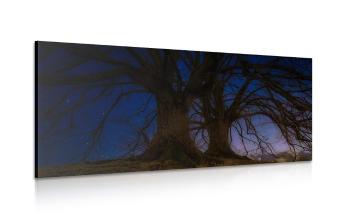 Obraz drzewa w nocnym krajobrazie - 120x60