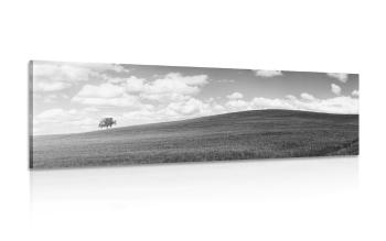 Obraz piękny dzień na łące w wersji czarno-białej - 150x50