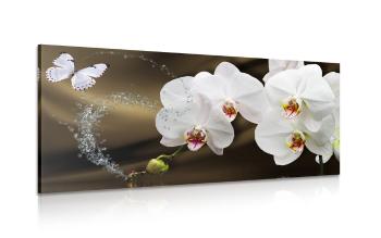 Obraz orchidea i motyl - 100x50