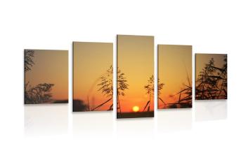 5-częściowy obraz źdźbła trawy o zachodzie słońca - 200x100